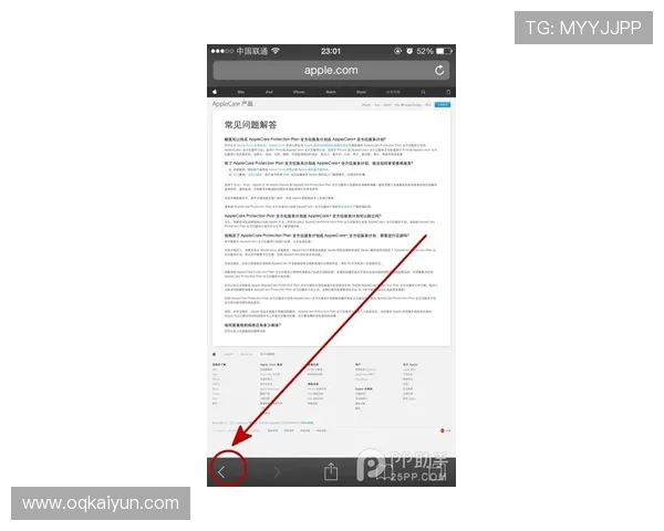 196体育网页版：新手用户必知的投注技巧