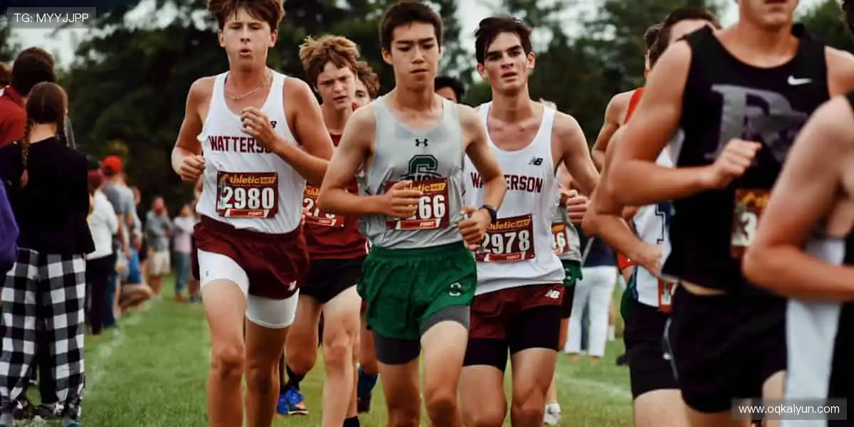 限量款来袭，手慢无！🚨🎯